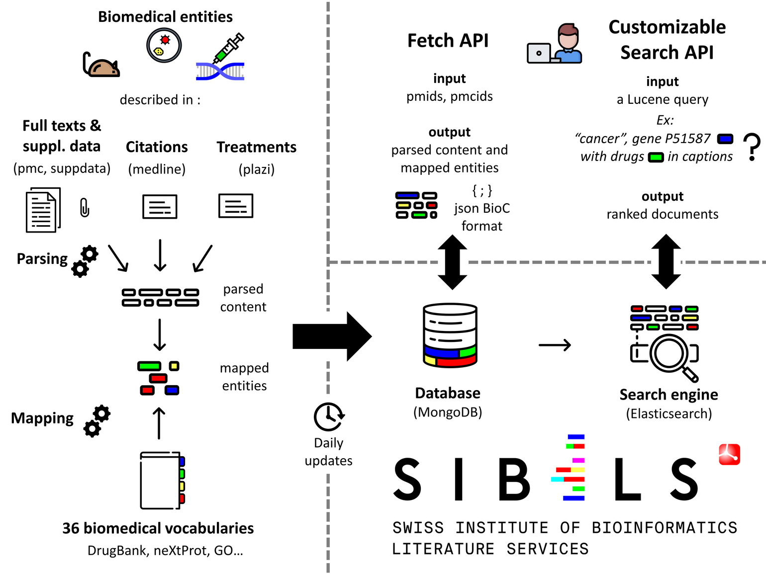 graphical abstract